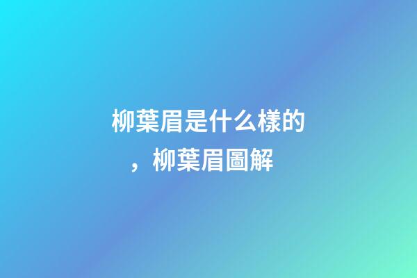柳葉眉是什么樣的，柳葉眉圖解